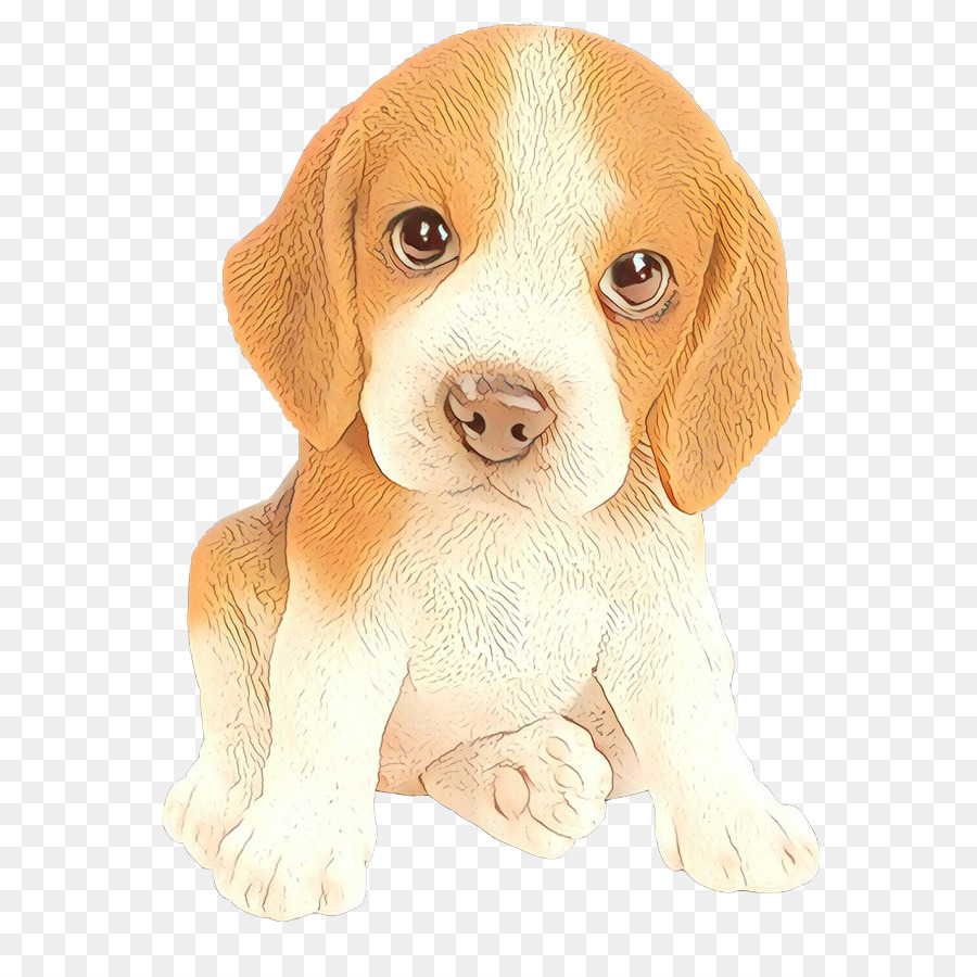 Cachorro，Perro PNG