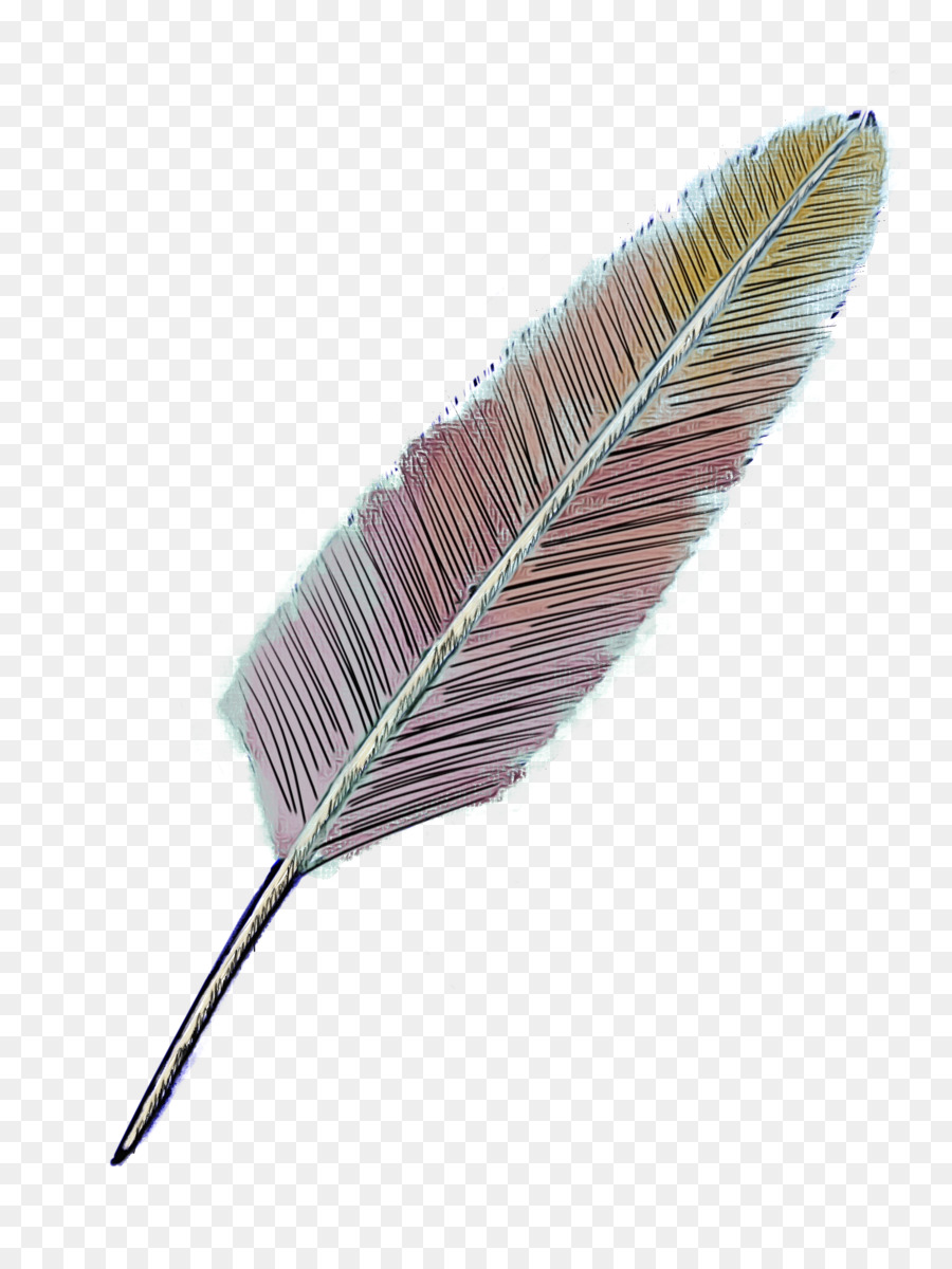 Pluma，Hoja PNG