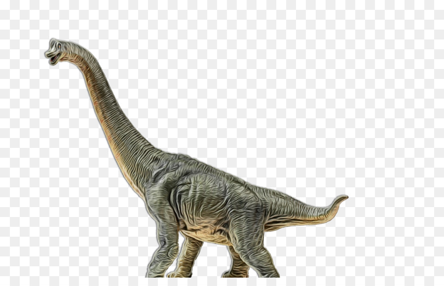 Velociraptor，El Tyrannosaurus Rex PNG