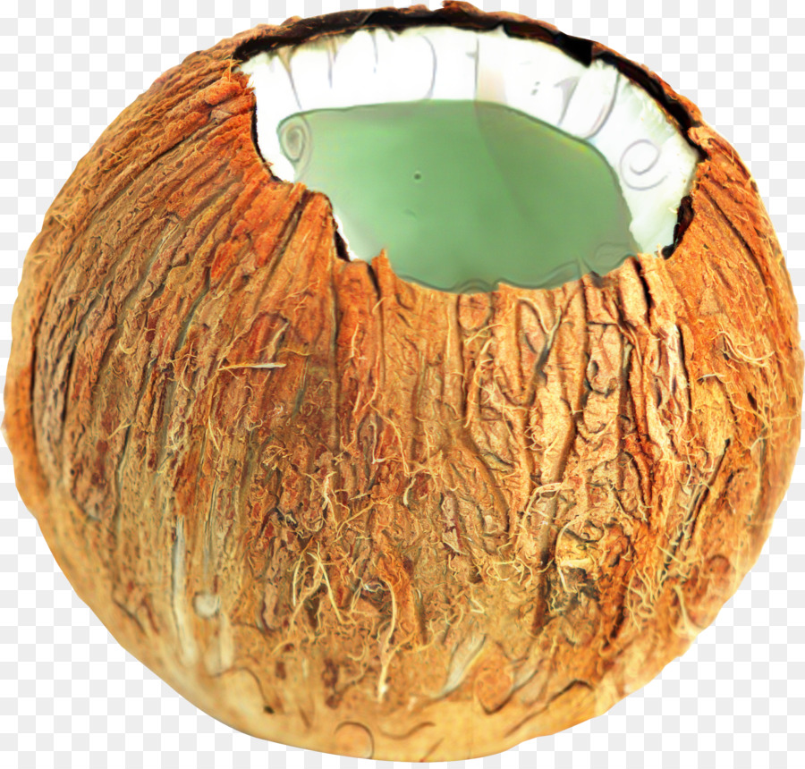 Artefacto M，Calabaza De Invierno PNG