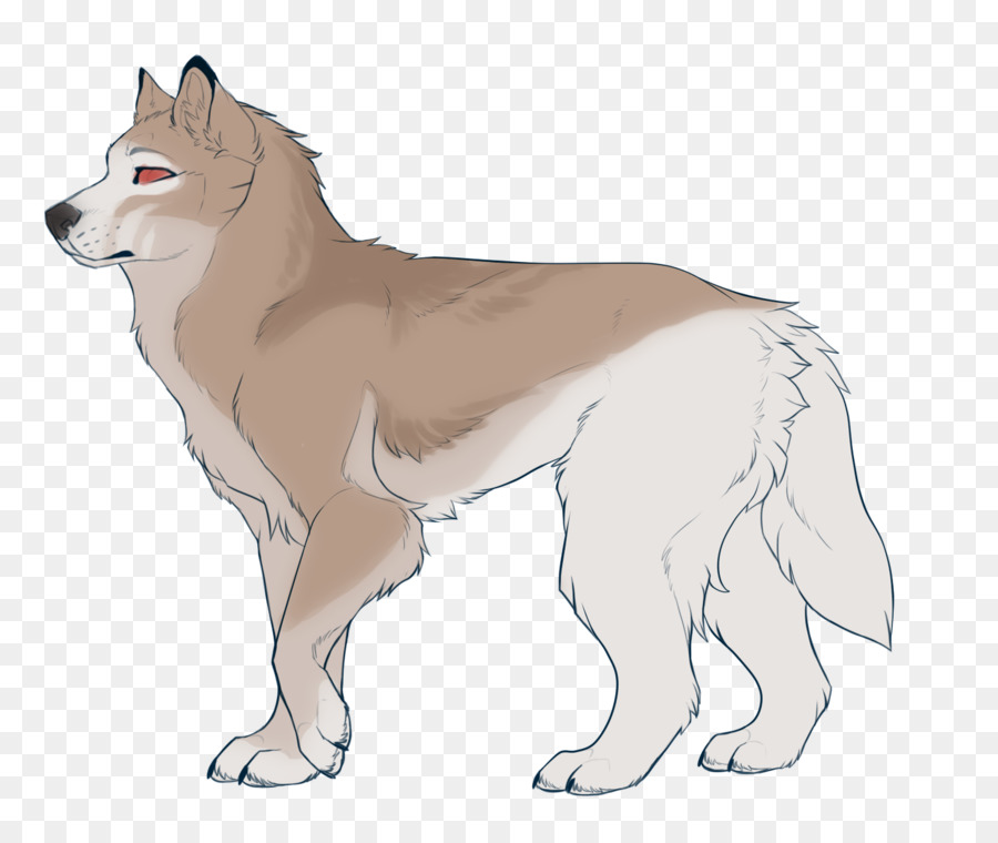 Lobo，Canino PNG