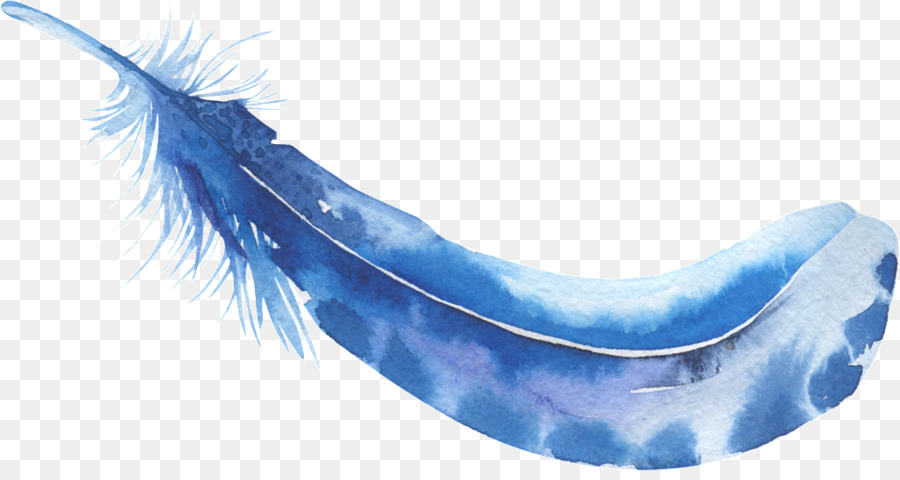 Pluma，Pintura A La Acuarela PNG