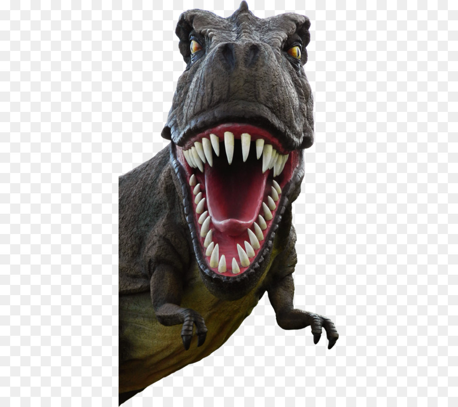 El Tyrannosaurus Rex，Triceratops PNG