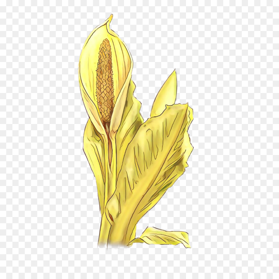 Flor，Amarillo PNG