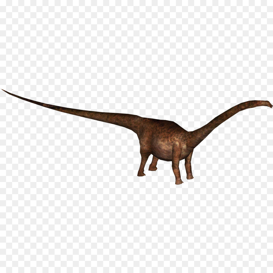 Mamenchisaurus，Dinosaurio PNG