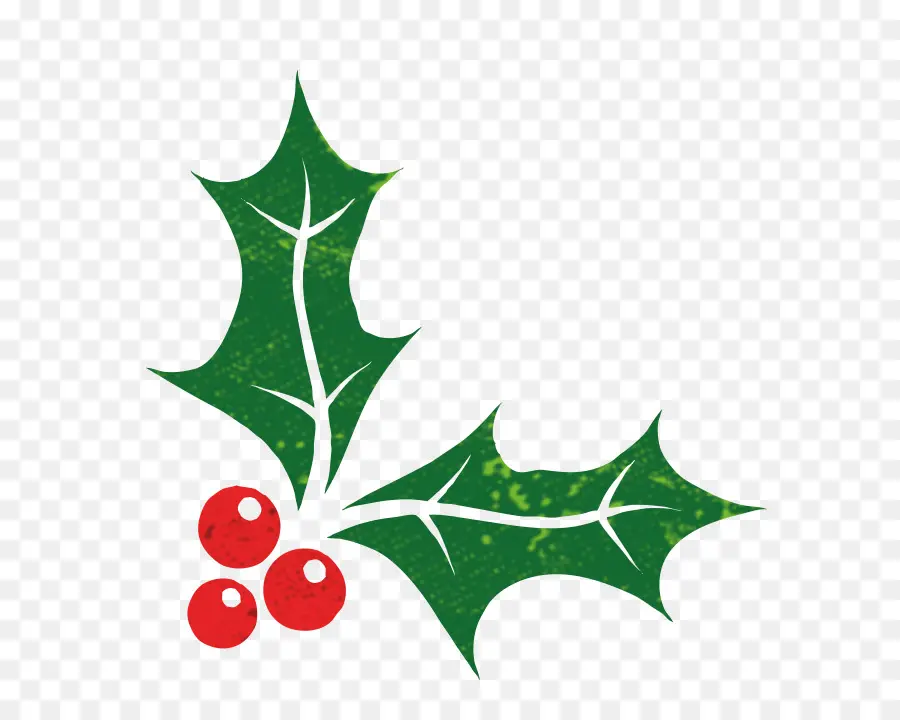 Christmas Day，Común Holly PNG