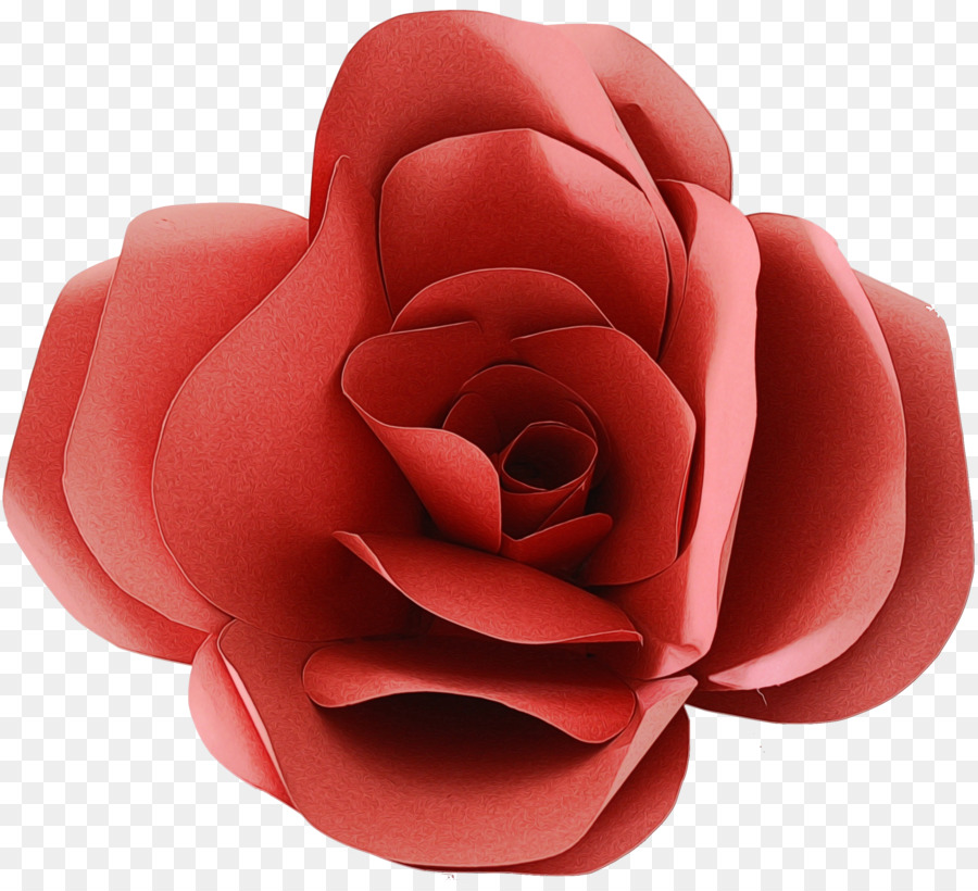 Rosa Roja，Florecer PNG