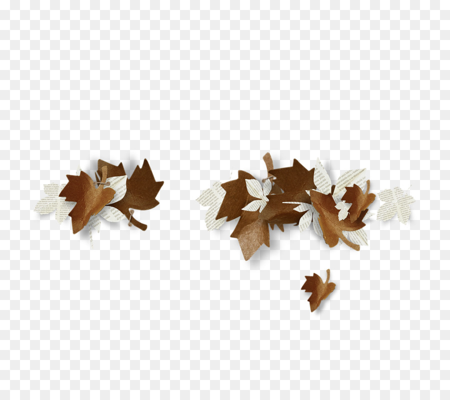 Otoño，Hoja PNG