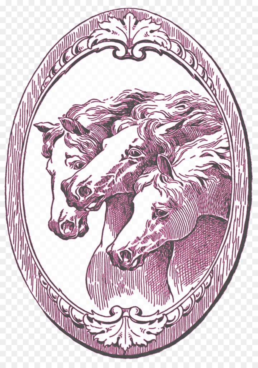 Caballo árabe，Dibujo PNG