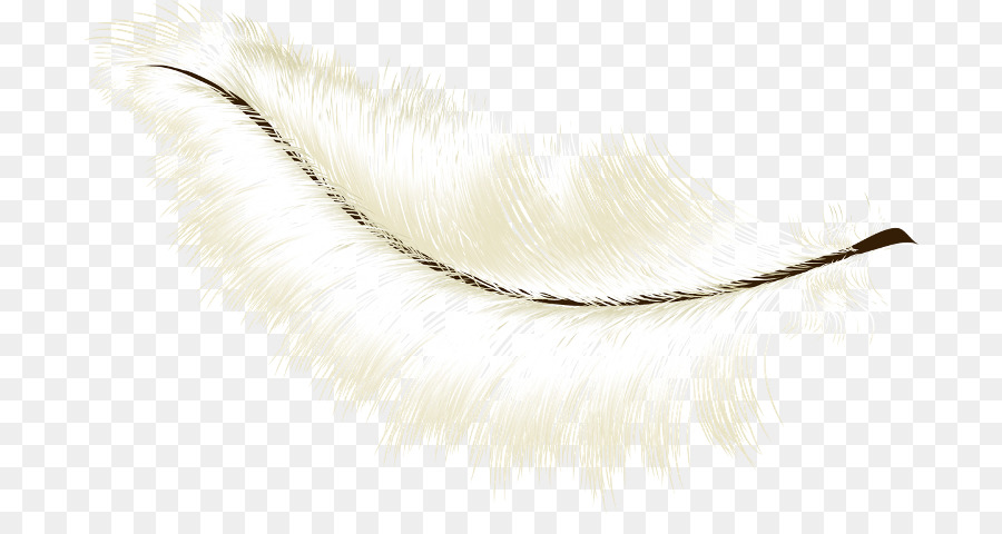 Pluma，La Joyería Del Cuerpo PNG