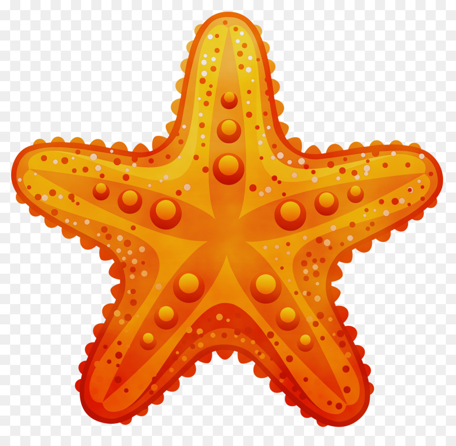 Estrella De Mar，Océano PNG