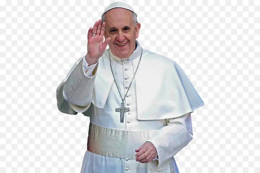 El Papa Francisco，El Papa PNG