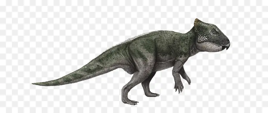 El Tyrannosaurus Rex，Dinosaurio PNG