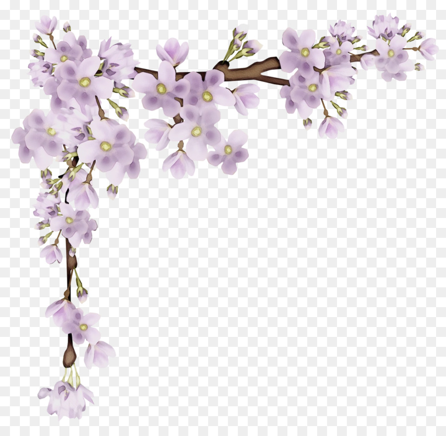 Flor，Morado PNG