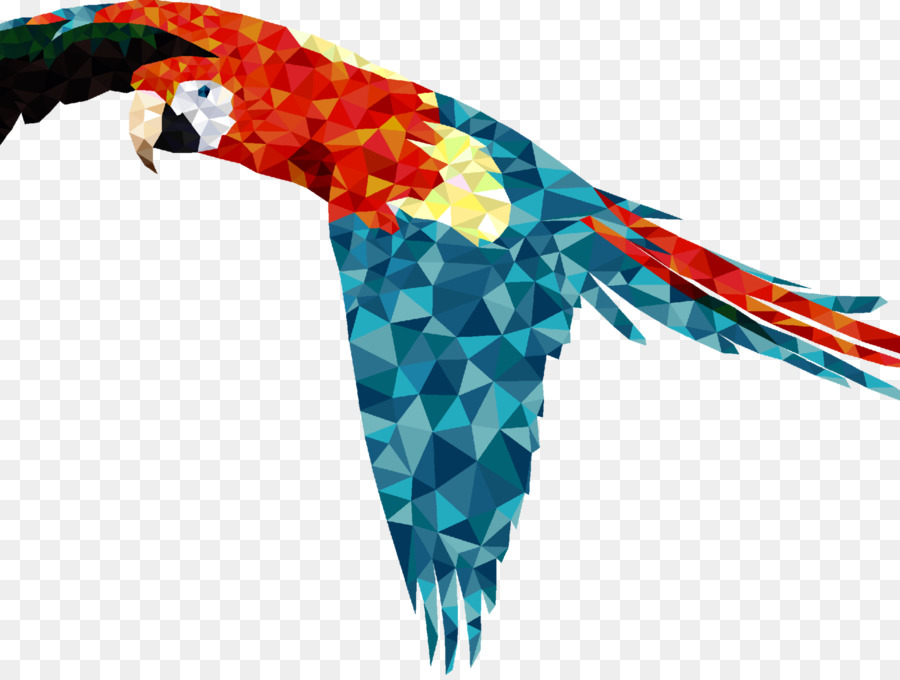 Guacamayo，Loro PNG