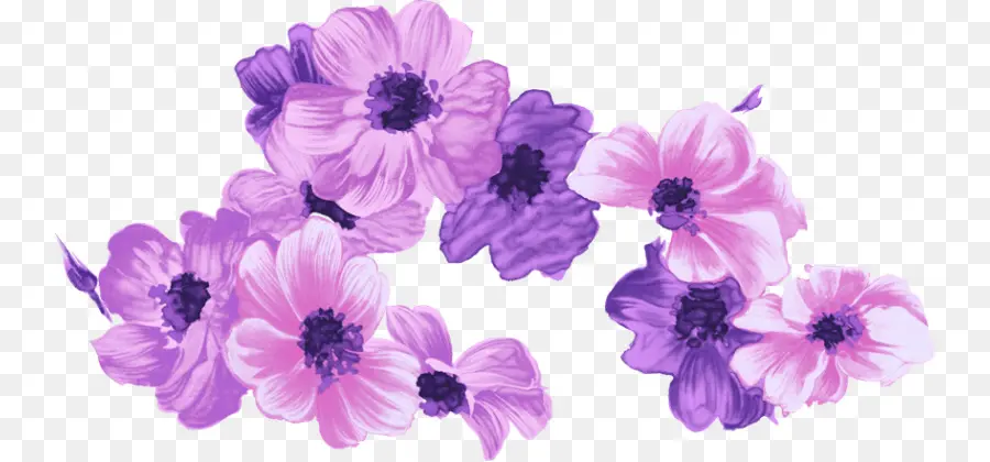 Flor，Morado PNG