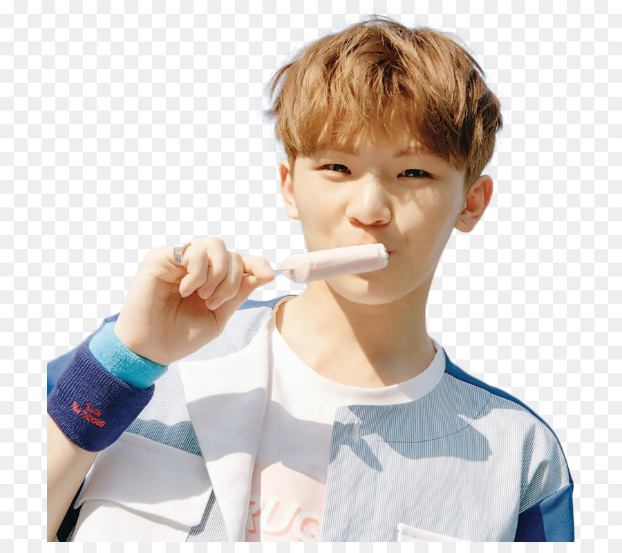 Woozi，Diecisiete PNG