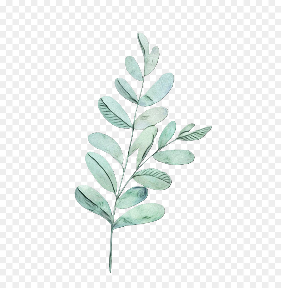 Las Plantas，Los 10 Dedos PNG