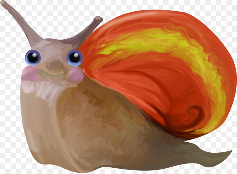 Caracol，Babosa PNG