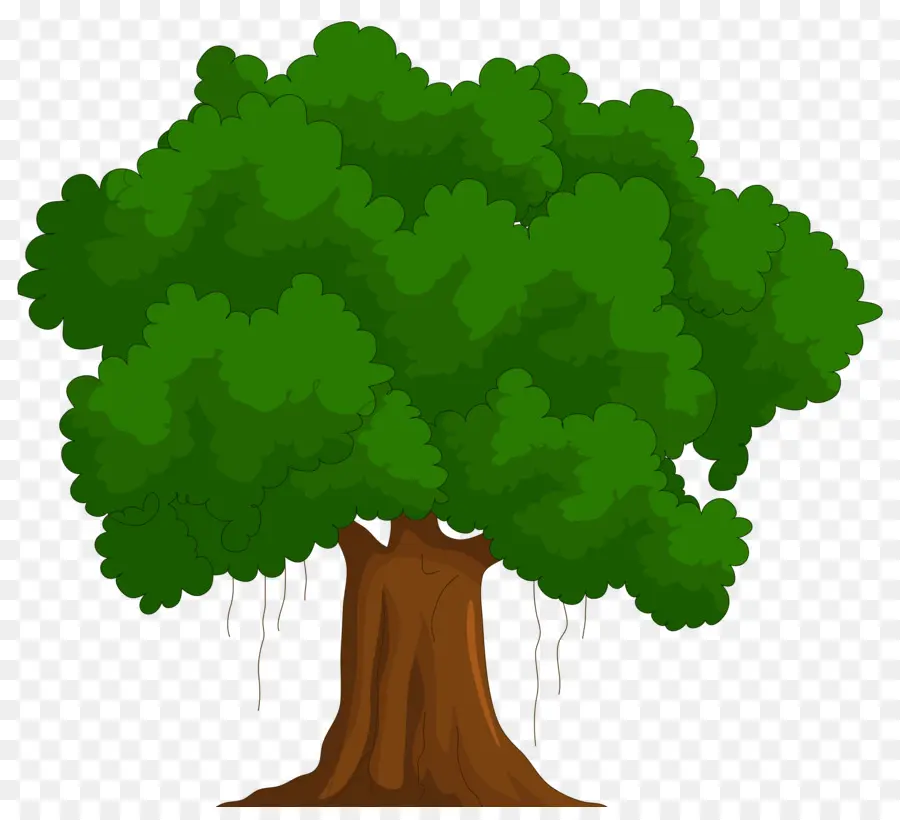 La Historieta，Árbol PNG