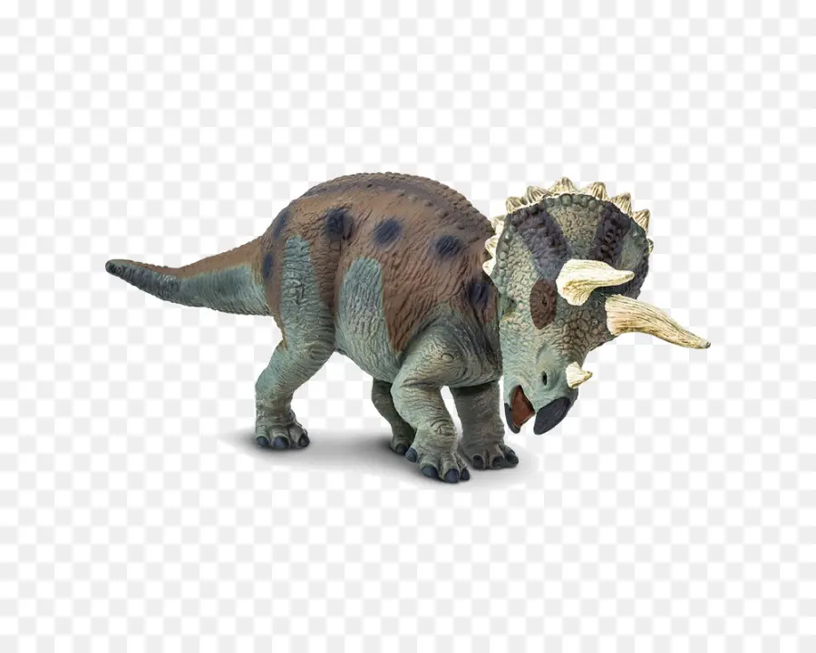 Triceratops，Dinosaurio PNG