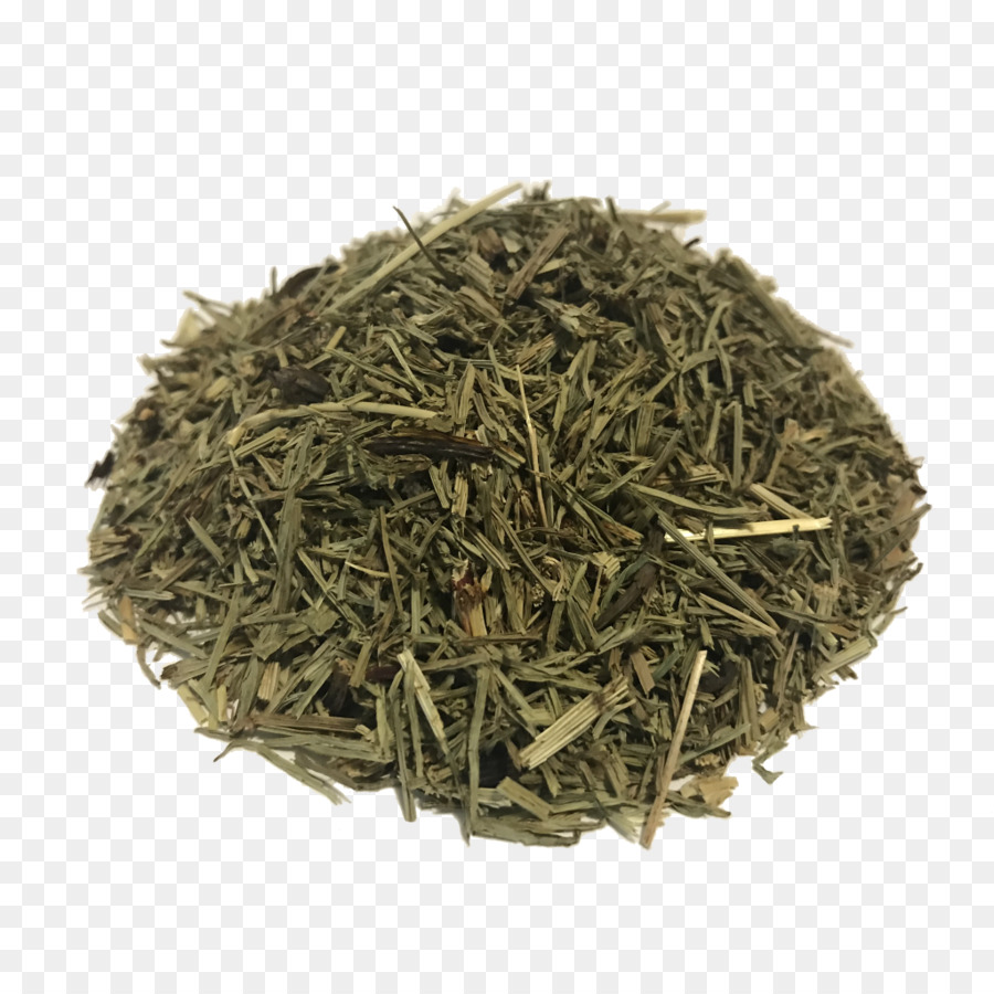 Té，Nilgiri Té PNG