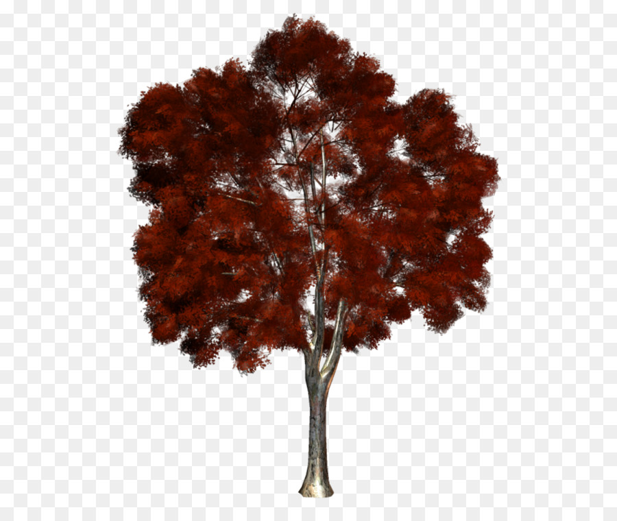 Árbol，Postscript Encapsulado PNG