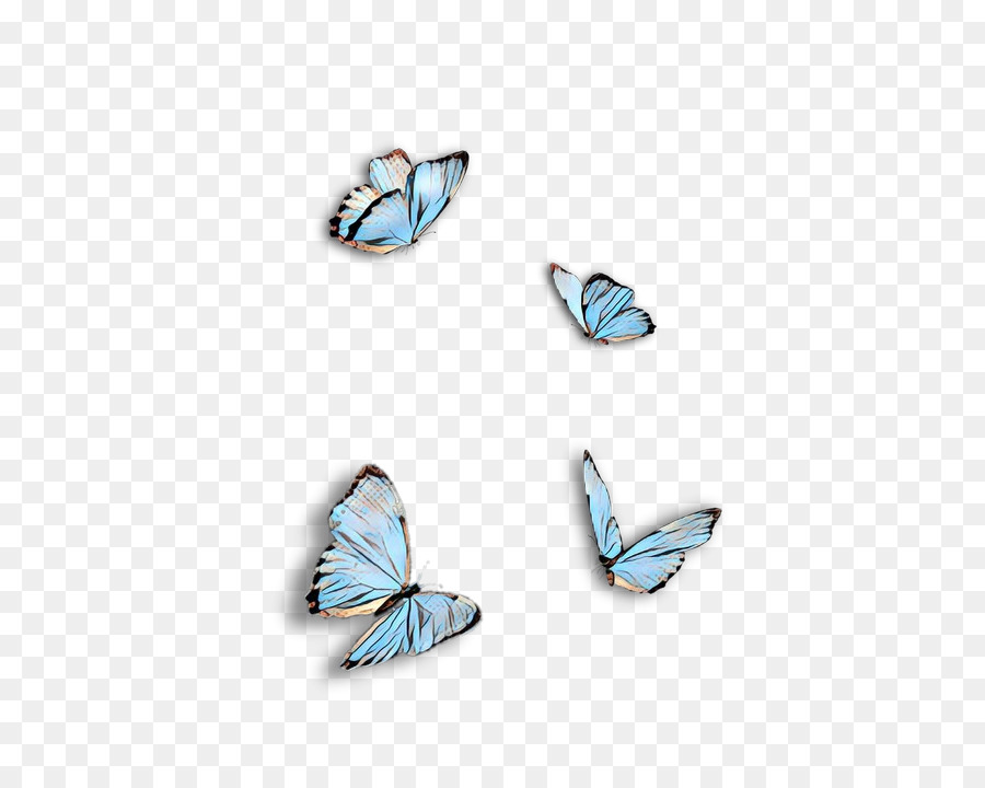 Mariposas Azules，Vuelo PNG