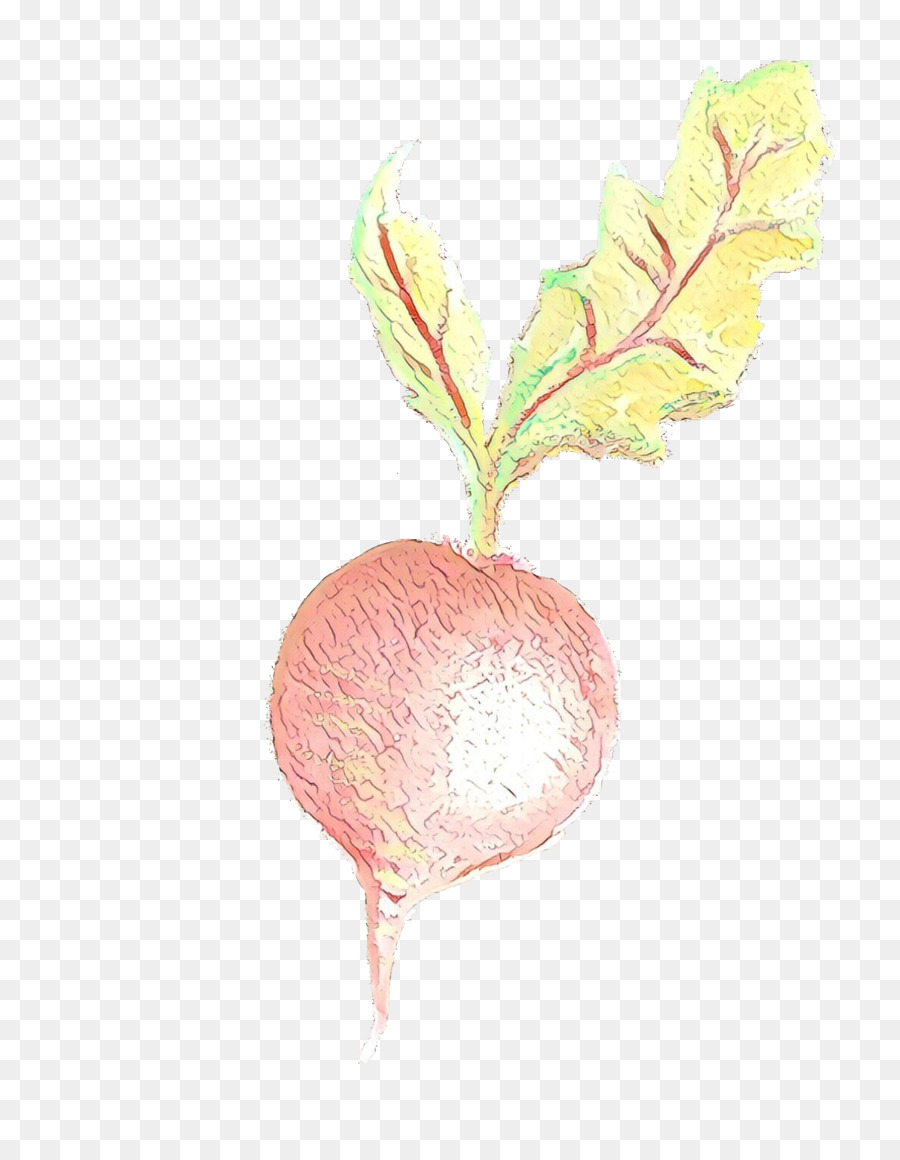 Rábano，La Fruta PNG