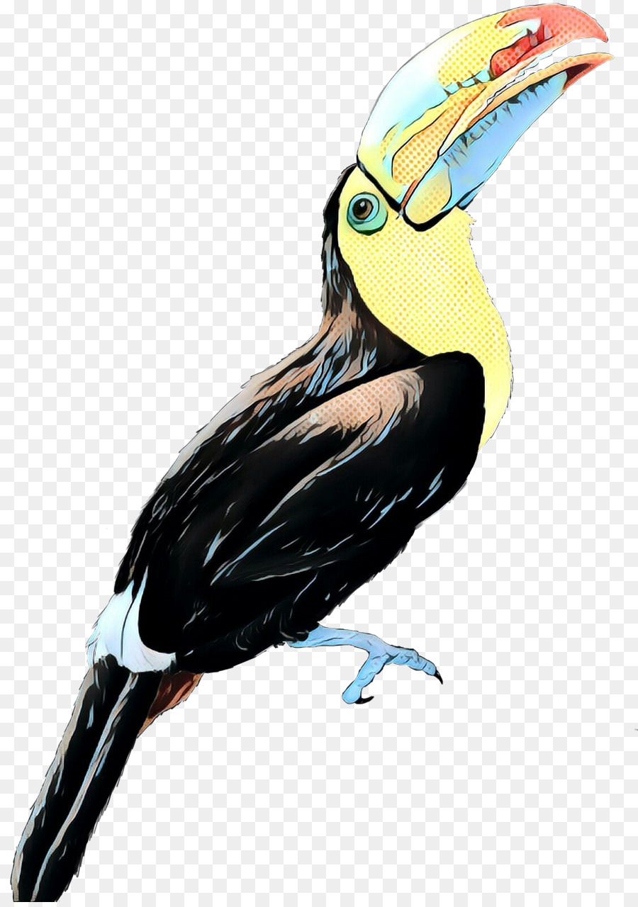 Pájaro，Pico PNG