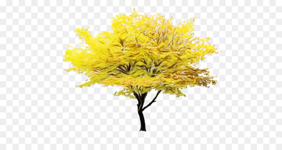 Árbol，Otoño PNG