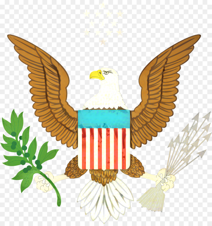 águila Calva，Estados Unidos PNG