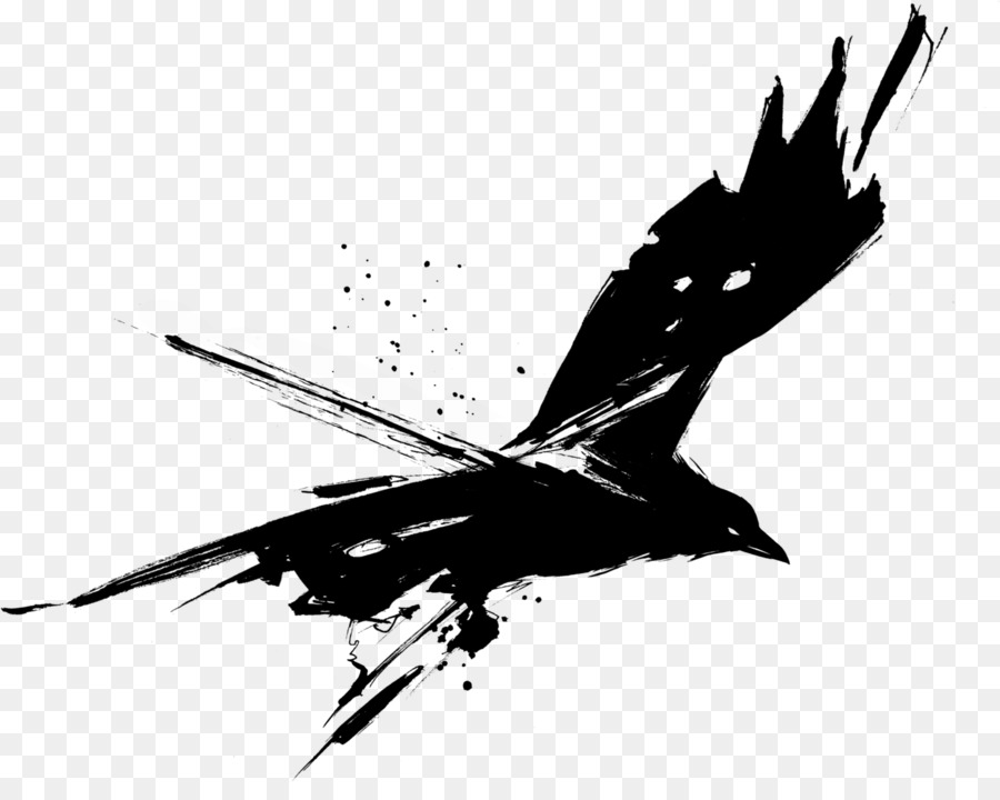 Común Raven，Xscreensaver PNG