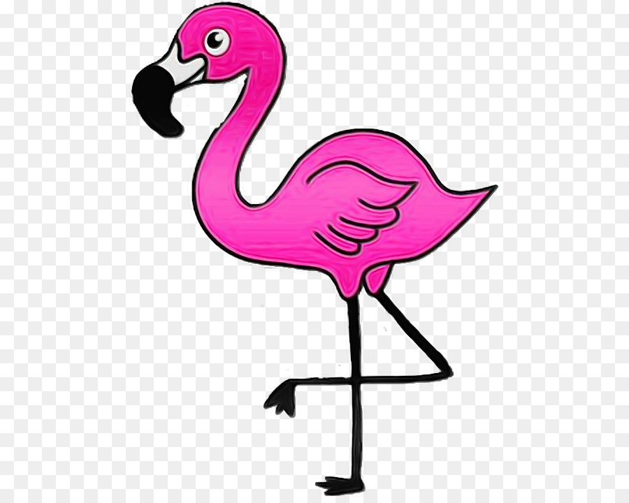 Flamingo，La Lindura PNG