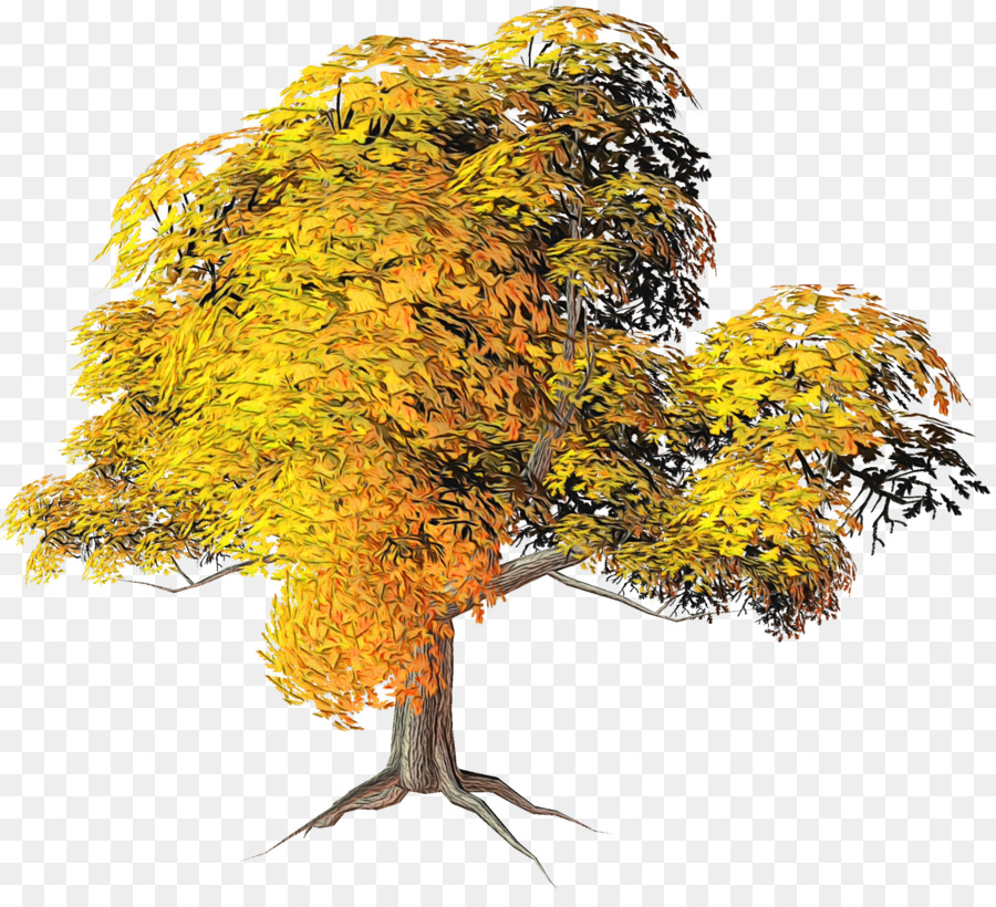 árbol De Otoño，Hojas PNG