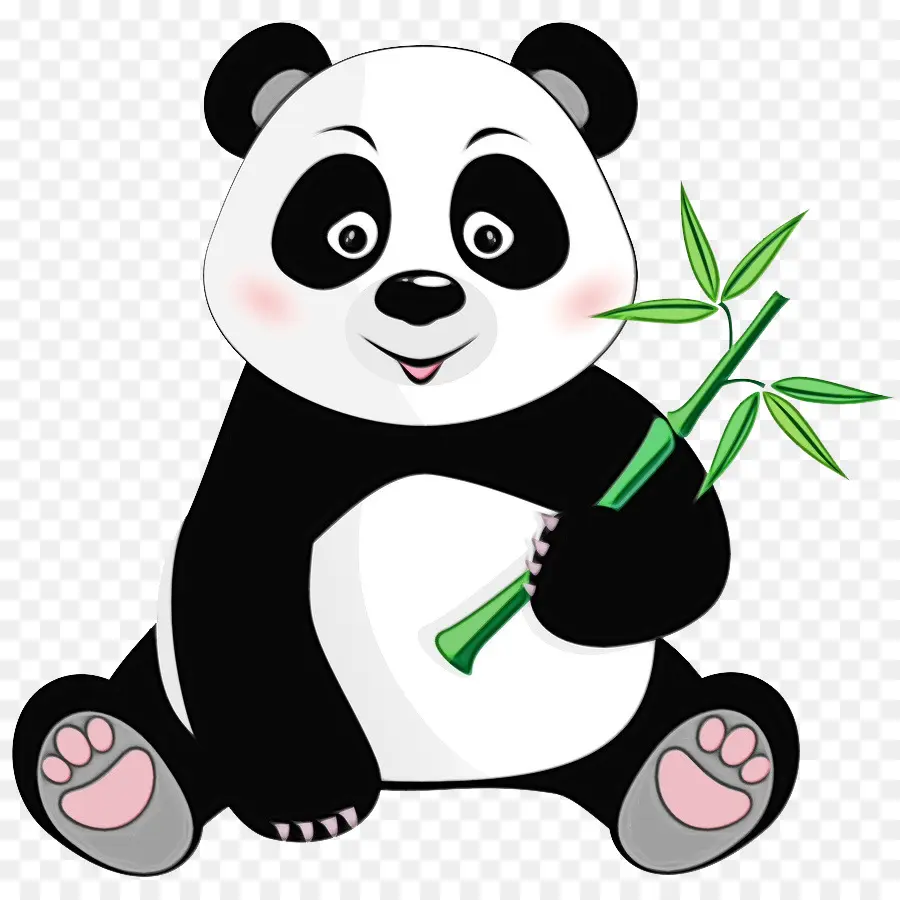 Panda，Bambú PNG