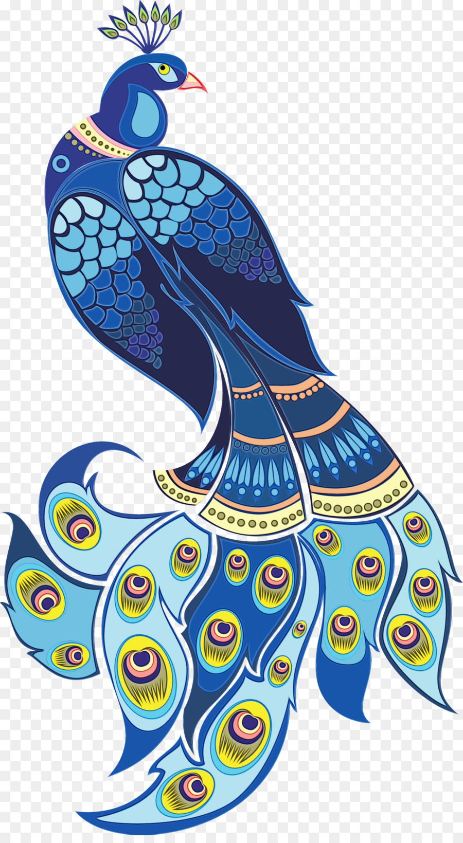 Pavo Real，Pluma PNG