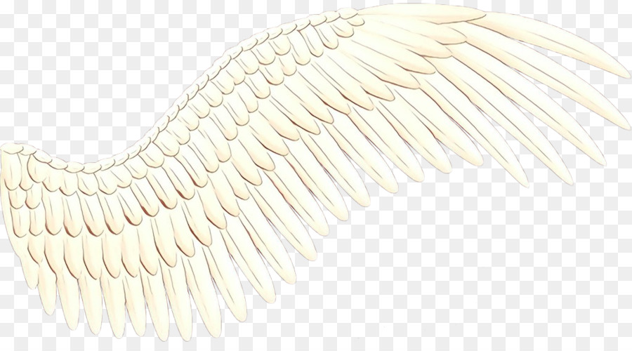 Alas De Angel，Plumas PNG