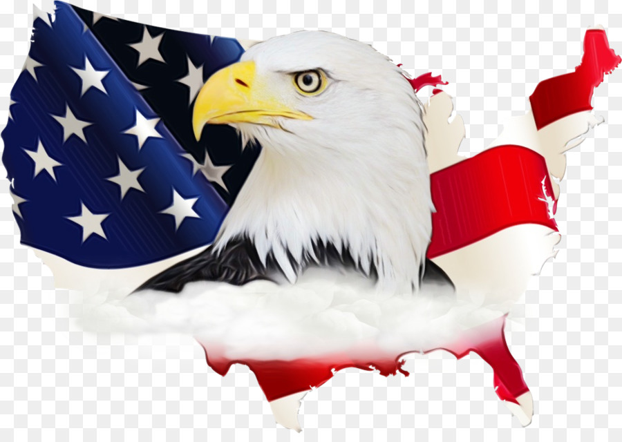 Estados Unidos，Bandera De Los Estados Unidos PNG