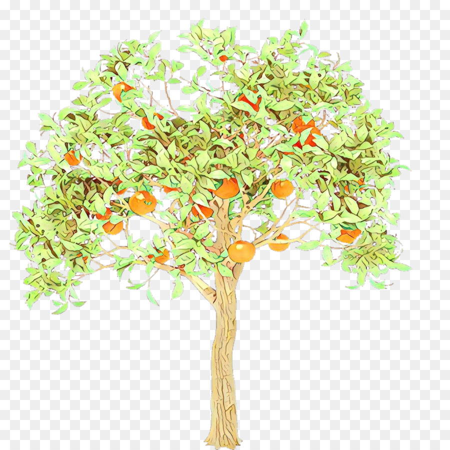 Árbol，Hojas PNG