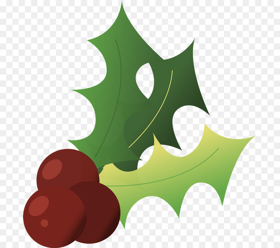 Christmas Day，Común Holly PNG