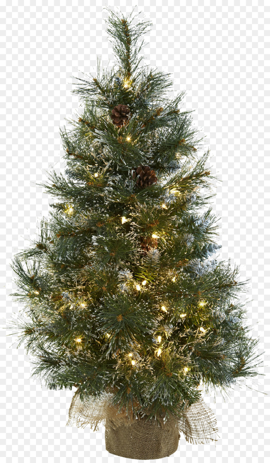 Árbol De Navidad，Día Festivo PNG