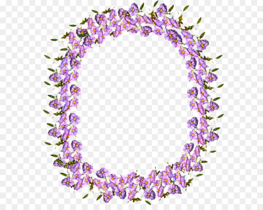 Morado， PNG