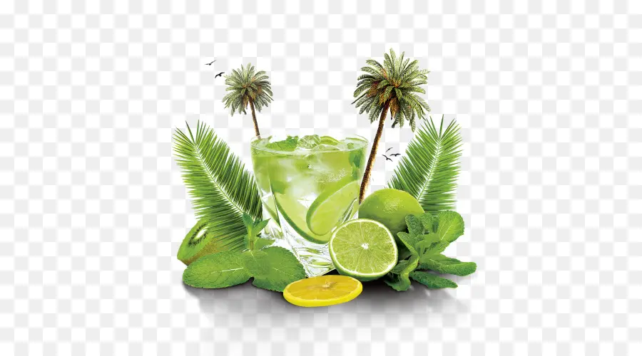 Limonada，Mojito PNG