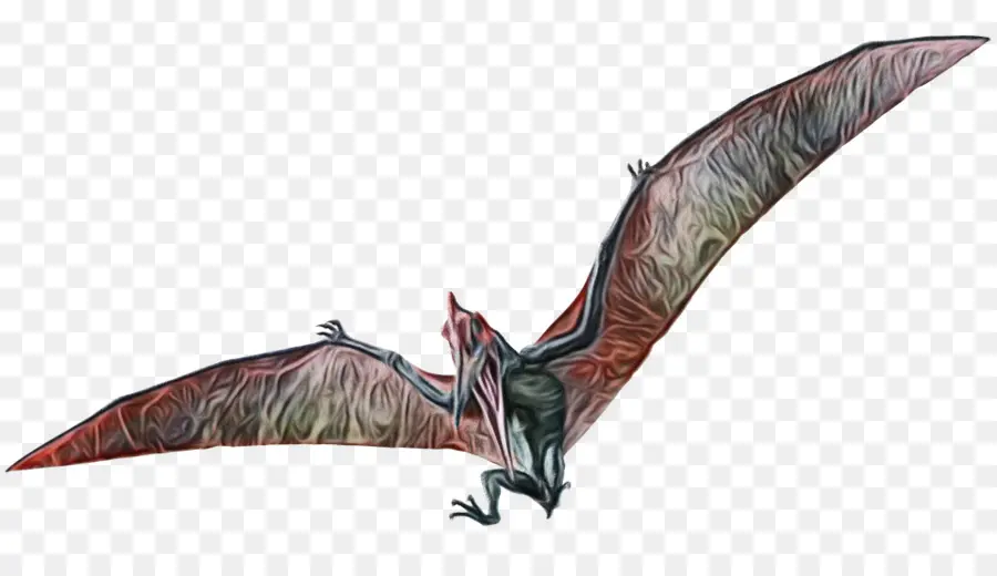 Pteranodon，Jurassic Evolución En El Mundo PNG