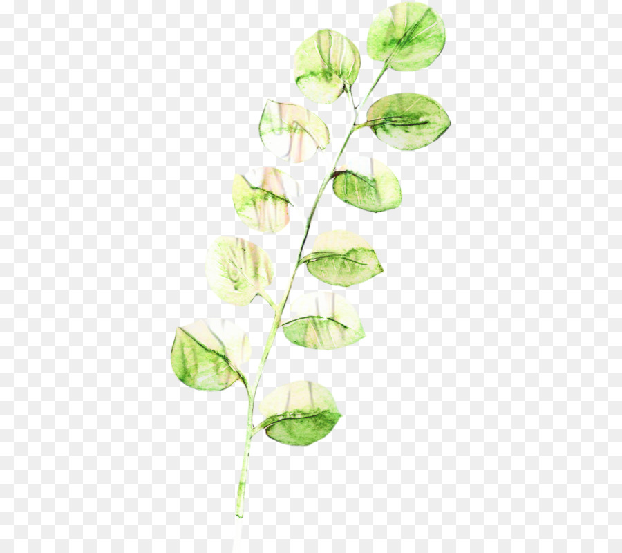 Hoja，Planta PNG