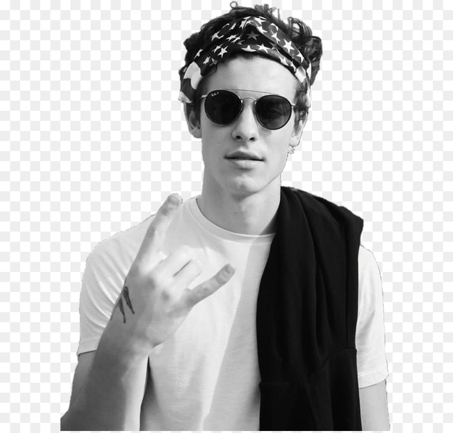 Shawn Mendes，Persiguiendo A Cameron PNG