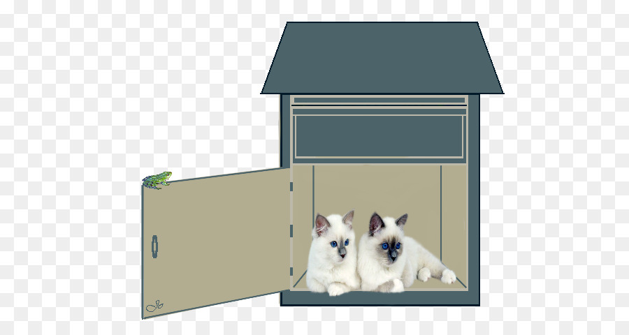 Gato，Perro PNG