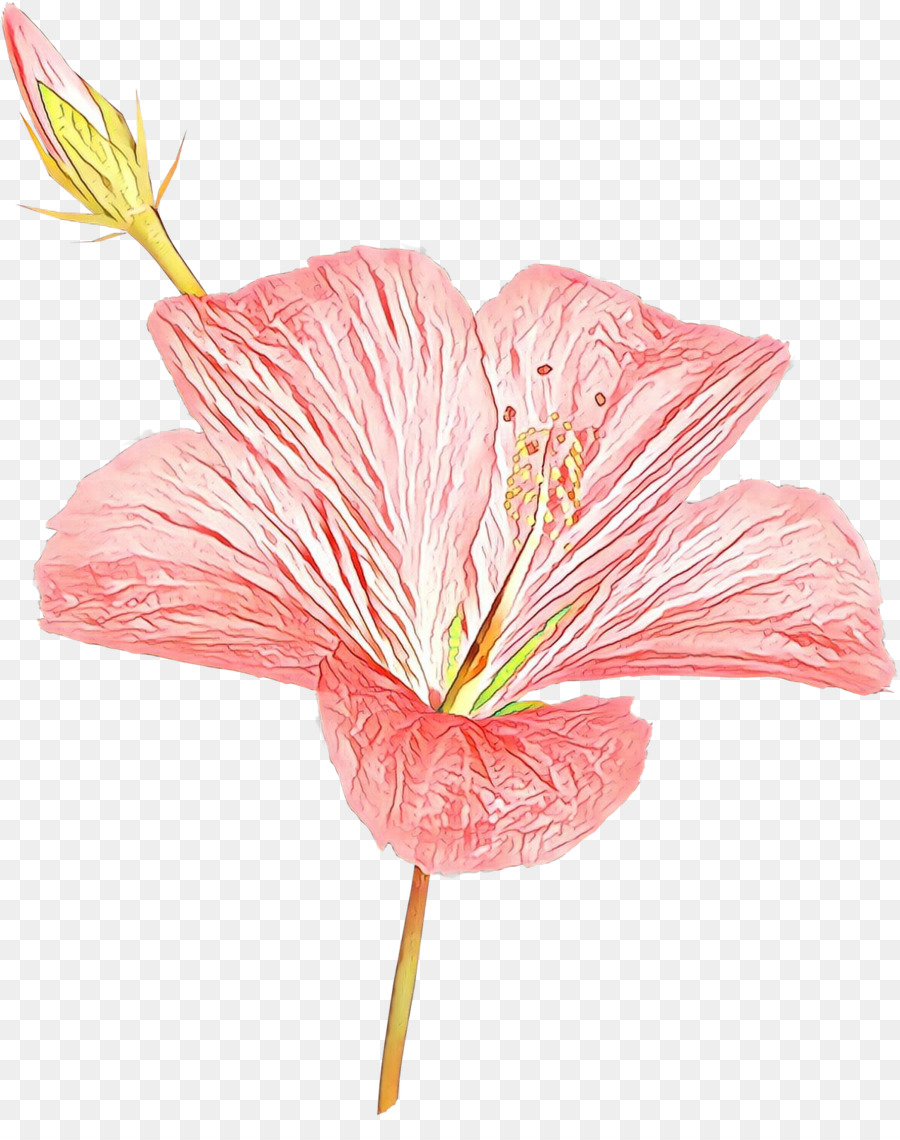 Flor，Pétalo PNG