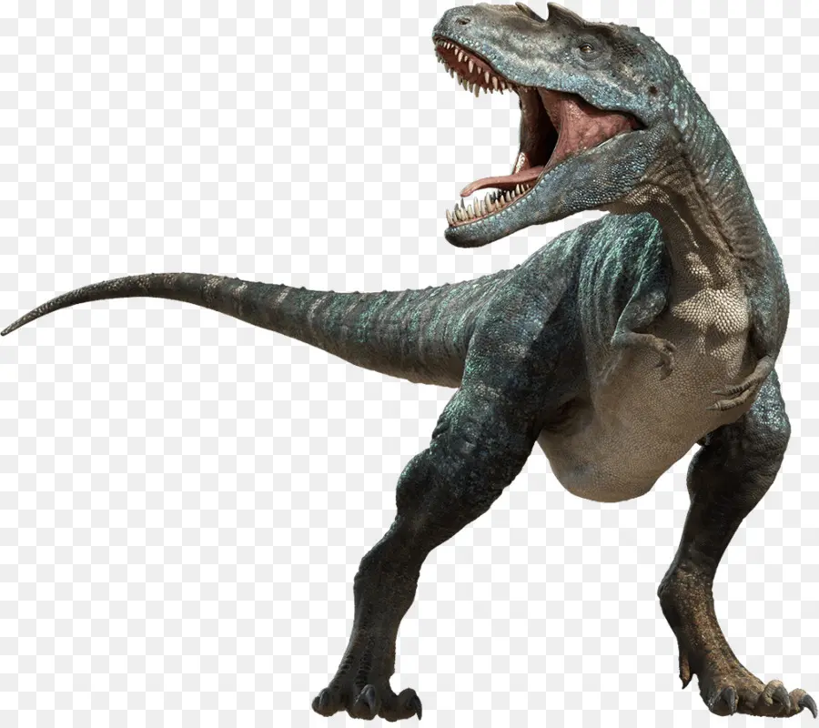 Dinosaurio，Velociraptor PNG